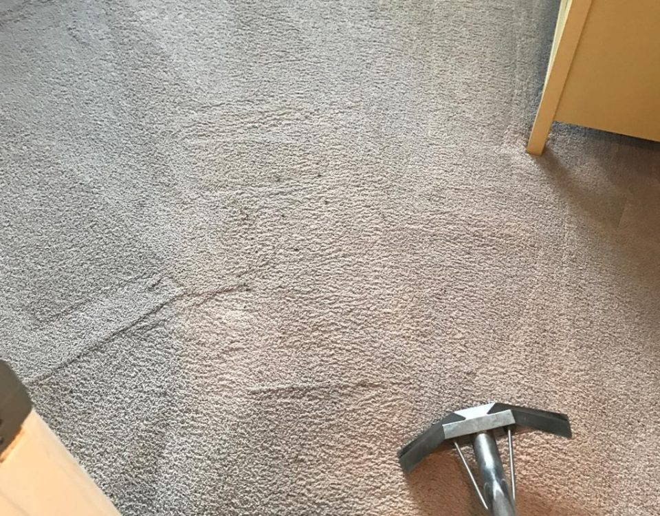 carpet cleaning in tustin california