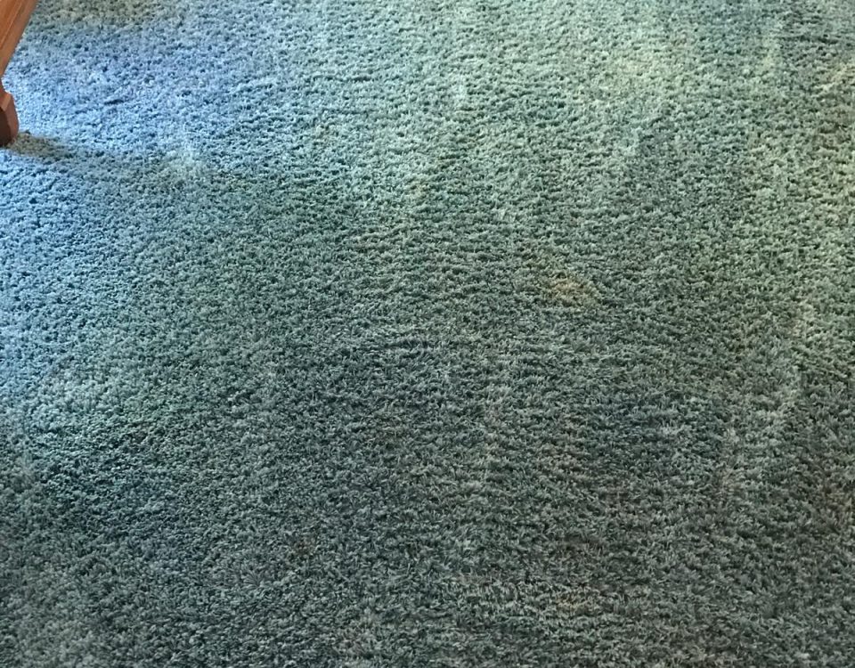 same day carpet cleaning in tustin