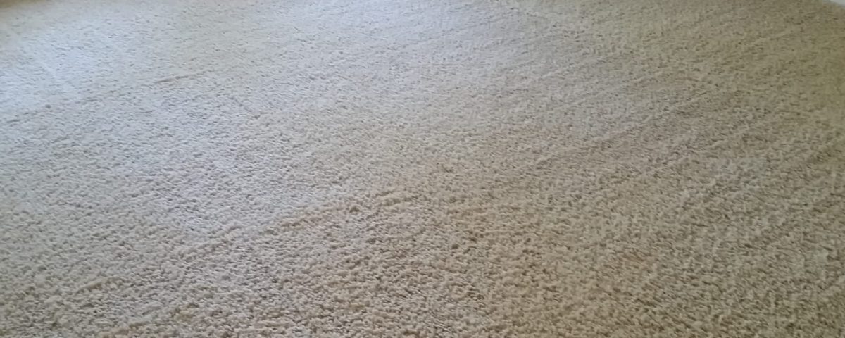 carpet cleaners tustin california