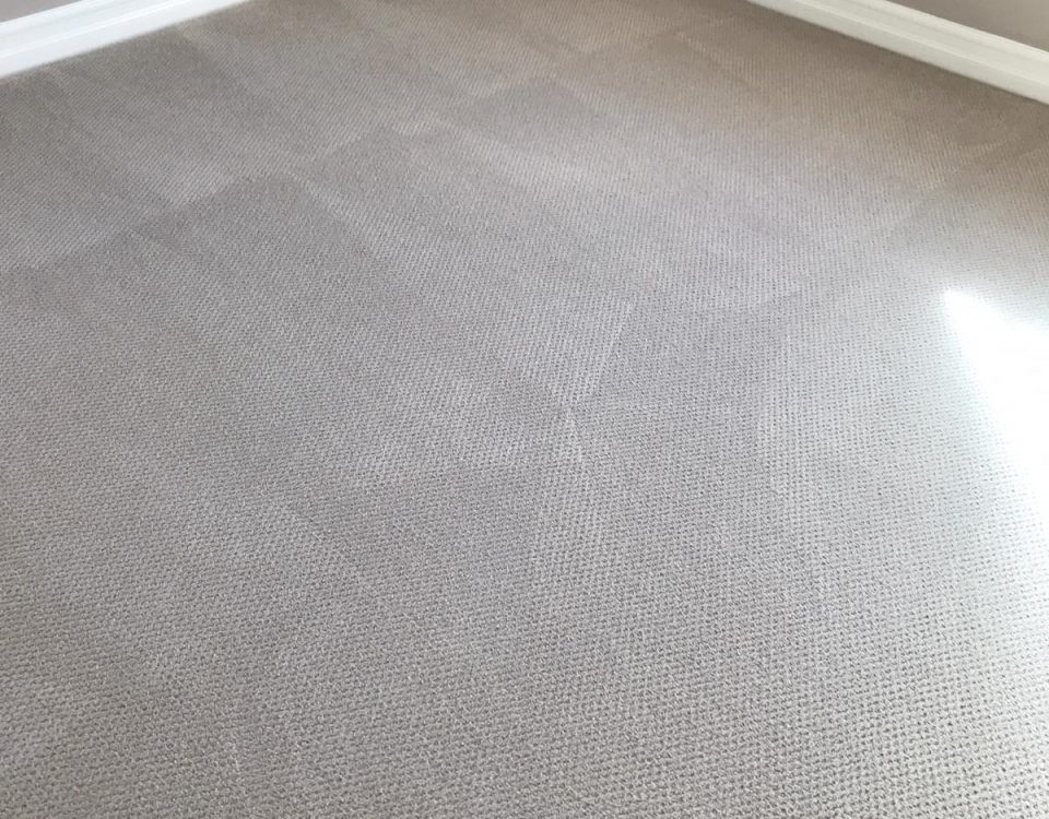 perfect carpet cleaning results
